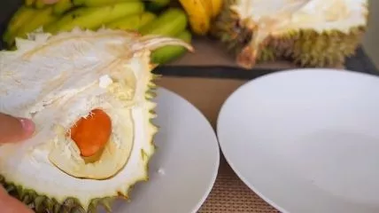  Durian is a famous and healthy fruit in Asian countries. It is white from inside and also known as king of fruits.