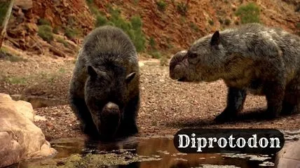 How Diprotodon look like in reality