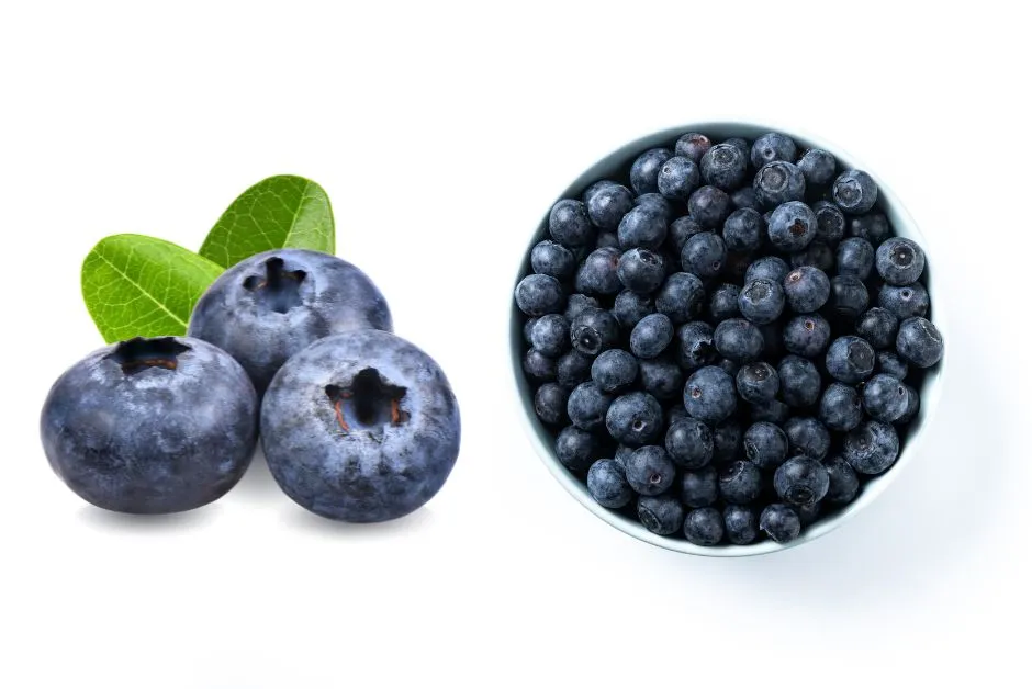 Fresh blueberries and a bowl filled with ripe blueberries, packed with antioxidants and vitamins, making them one of the top foods for healthy skin.