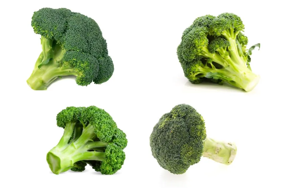 Fresh broccoli florets rich in vitamins C and K, antioxidants, and fiber, considered one of the best foods for glowing skin.