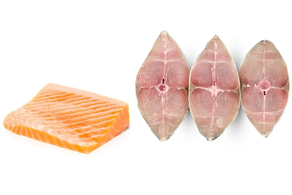 Fresh salmon fillet and king mackerel steaks – omega-3 rich foods good for skin health and natural glow.