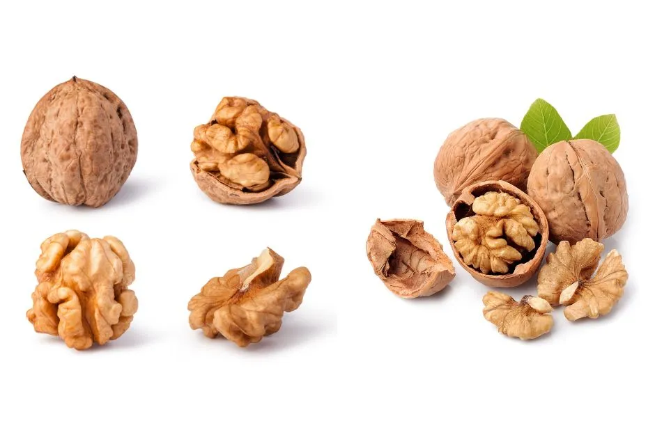 Whole and shelled walnuts rich in omega-3 fatty acids and antioxidants, considered one of the best foods for skin glow.